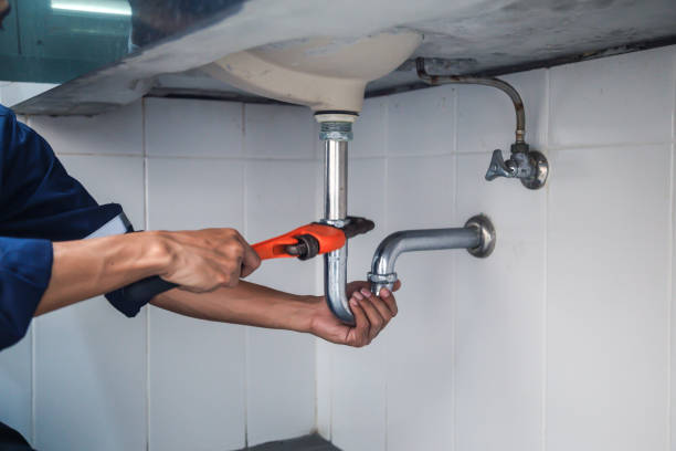 Best Local Plumber Services  in Seneca, MO