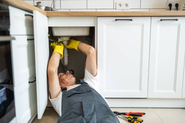 Best Plumbing Repair Near Me  in Seneca, MO