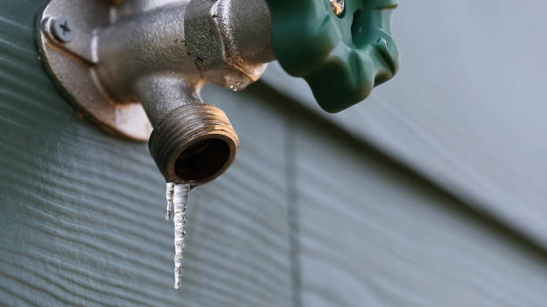 Best Commercial Plumbing Services  in Seneca, MO